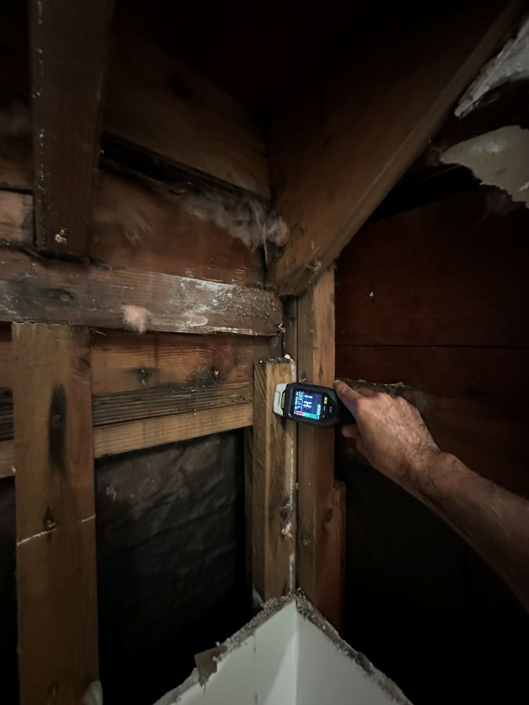 Moisture meter reading on framing before rebuilding the wall