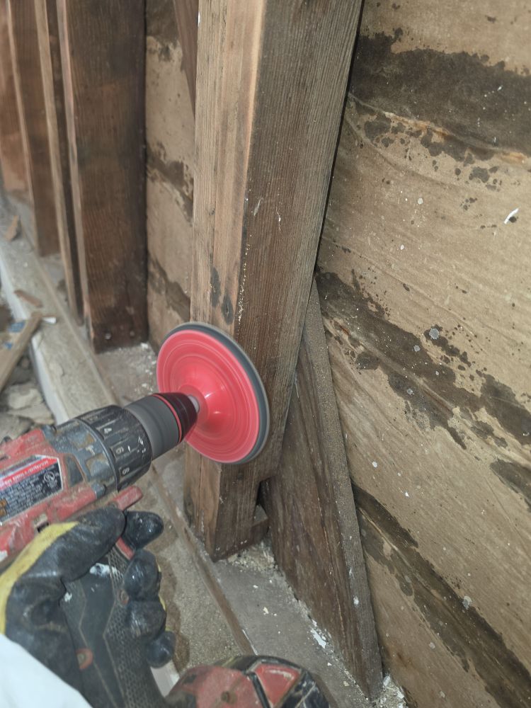 Technician cleaning mold-affected wood framing