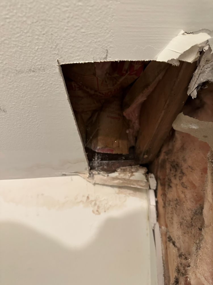 Mold growth found on framing after opening a water-stained wall