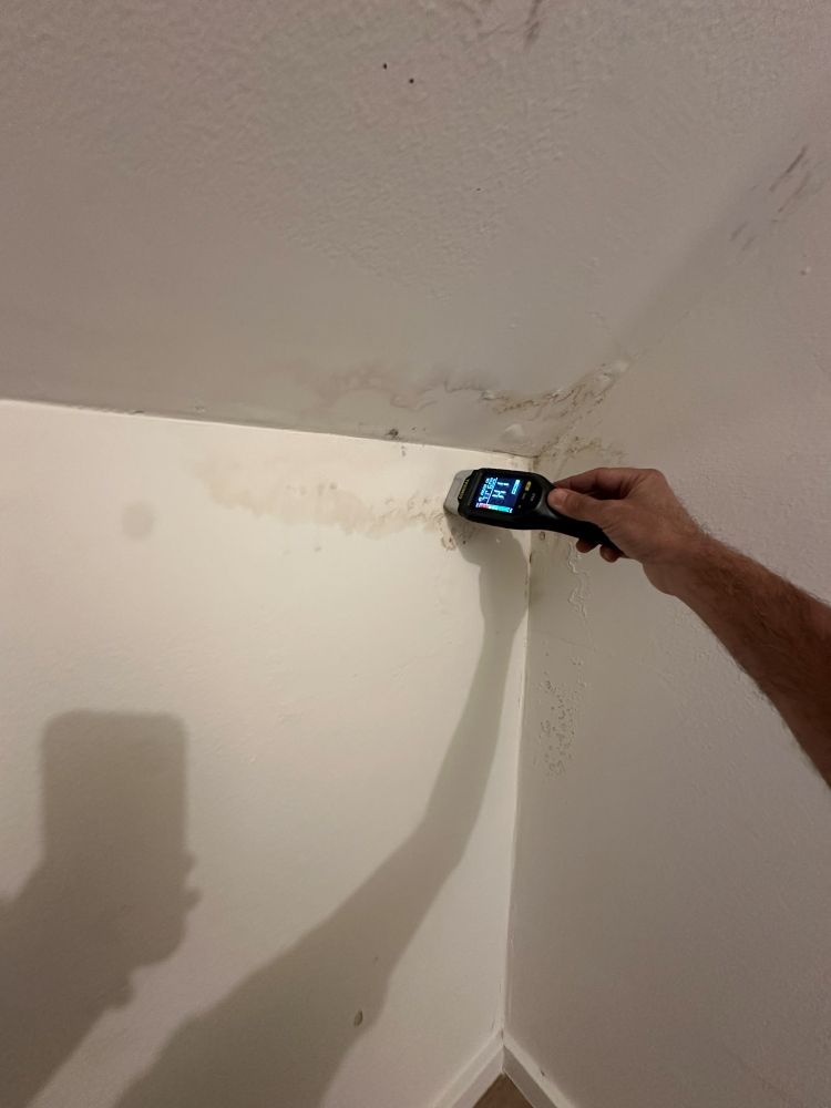 Moisture meter reading at a water stain where the wall meets the ceiling