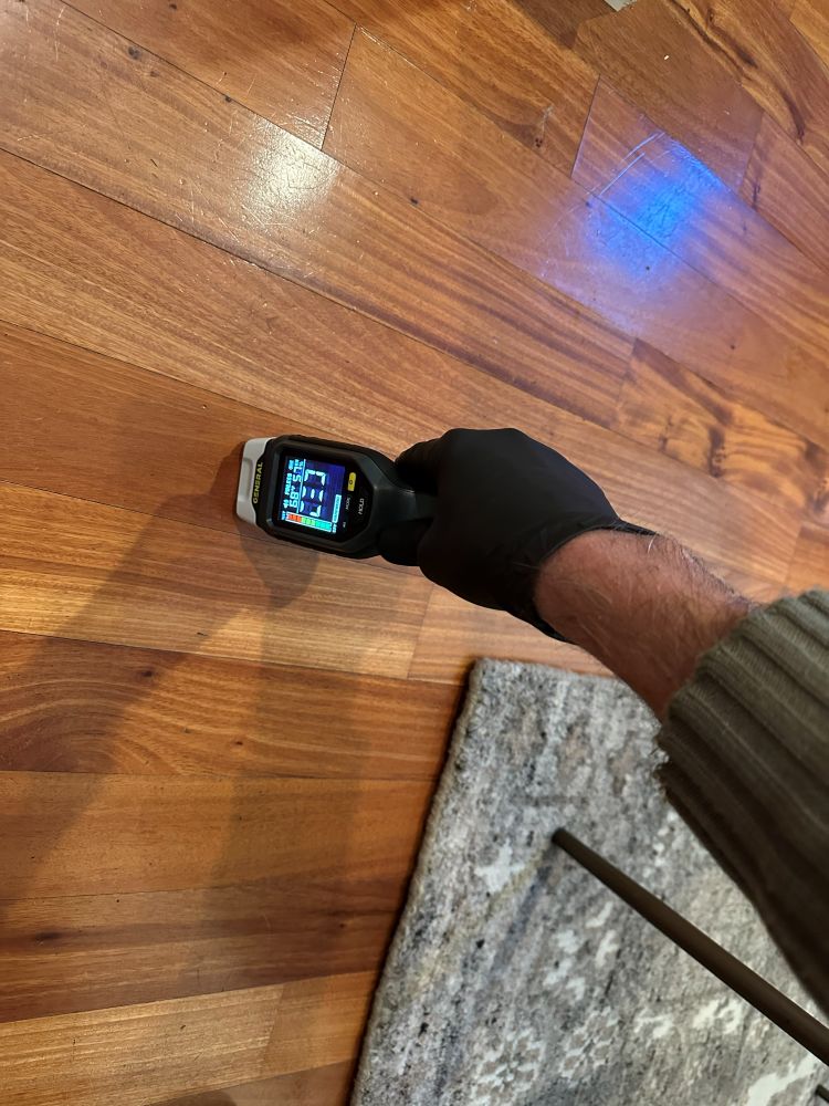 Moisture meter reading on a hardwood floor
