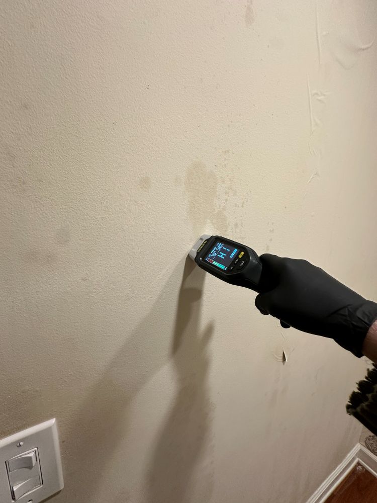 Moisture meter reading taken on a water-stained wall